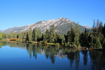 reflections in the bow river