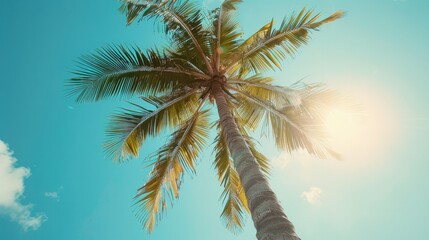 Coconut trees, coastal scenery that inspires travel and peace