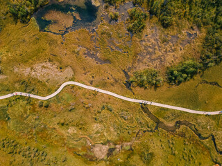 Green meadow in the mountains. Altai, Siberia, Russia