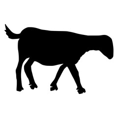 Sheep Silhouette illustration