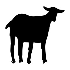 Sheep Silhouette illustration