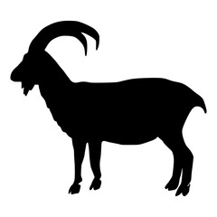 Sheep Silhouette illustration