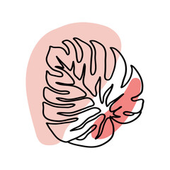 Monstera Floral Decoration Hand Drawn