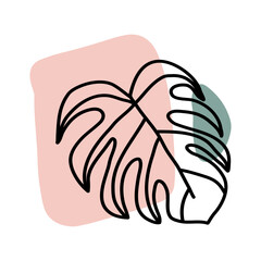 Monstera Leaves Hand Drawn