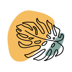 Monstera Leaves Hand Drawn