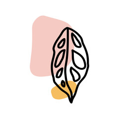 Monstera Leaves Hand Drawn