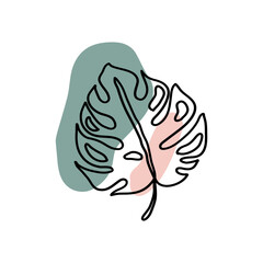 Monstera Leaves Hand Drawn