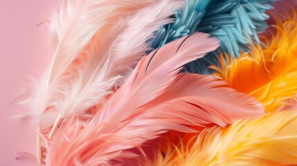 Fur feathers in a limit colorful set on a mauve backdrop