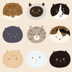 hand draw flat cat face collection