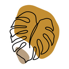 Monstera Leaf Illustration