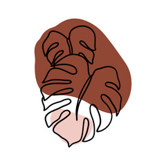 Monstera Leaf Illustration