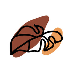 Tropical Monstera Plant Outline Illustration