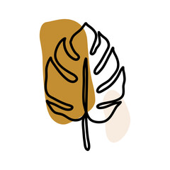 Tropical Monstera Plant Outline Illustration
