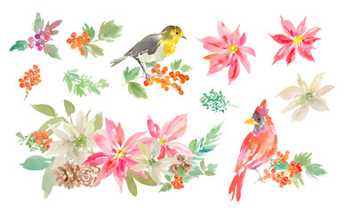A set of vector illustrations of an abstract cardinal, robin, poinsettia, and berries painted in watercolor. A Christmas bird and botanical illustration set.