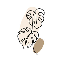 Tropical Monstera Plant Outline Illustration