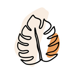 Tropical Monstera Plant Outline Illustration