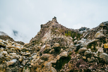 An interesting view of the volcanic landscape with puffs of smoke coming out of the bowels of the earth