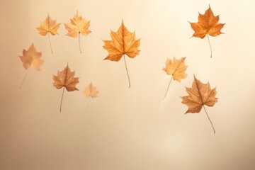 Fototapeta premium close-up photo of amazing dropping gold maple leaves in beige background