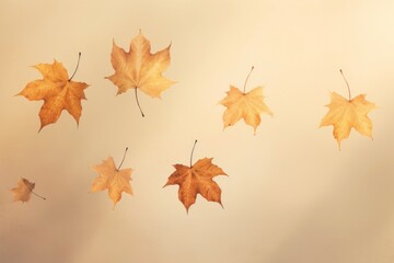 Fototapeta premium close-up photo of amazing dropping gold maple leaves in beige background