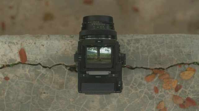 Exploring Nature Through the Lens A Unique Perspective from the World of Photography
