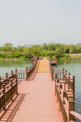 Obraz premium A wooden footbridge over a calm lake surrounded by lush greenery on a sunny day.