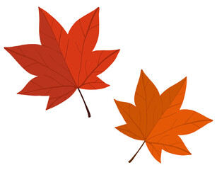 단풍잎2