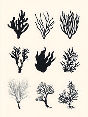 Minimalist Seaweed Silhouettes and Coral Icons: A Modern Underwater Botanical Set