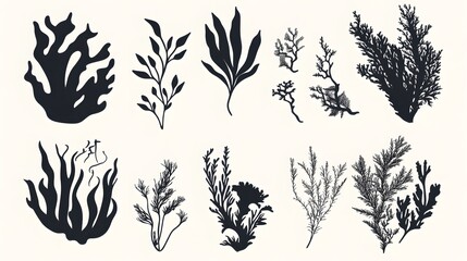 Fototapeta premium Minimalist Seaweed Silhouettes and Coral Icons: A Modern Underwater Botanical Set