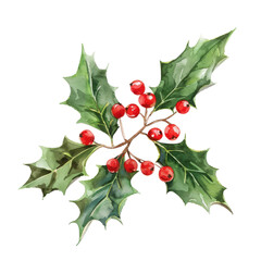 A vibrant holly branch featuring rich green leaves and bright red berries, perfect for holiday-themed designs and decorations.