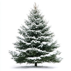 Fototapeta premium Christmas tree isolated on white background