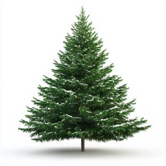 Fototapeta premium Christmas tree isolated on white background