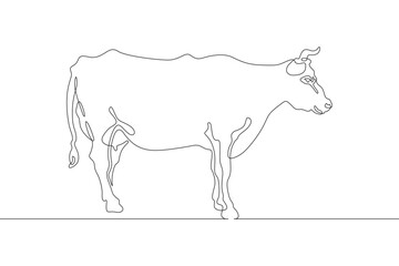 Continuous one line drawing dairy cow. Cattle. Dairy industry. Milk. Side view of a cow.One continuous line isolated minimal illustration.