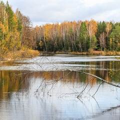 Autumn forest and beautiful lake. Bright colored trees and plants reflecting in the water
