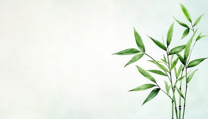 Minimalist bamboo design in watercolor, soft greens blending into a subtle gradient for a calm, peaceful background