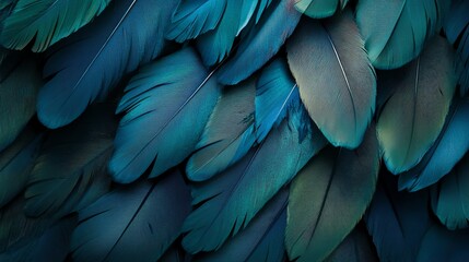 Obraz premium Close-up shot of a collection of teal feathers.