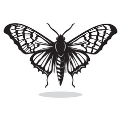 Butterfly silhouettes and icons. Black flat color simple elegant white background Butterfly animal vector and illustration.