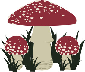 Amanita muscaria, fly agaric