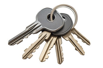 Gray House Keys with Keychain, Detailed View. Closeup keychains with alpha channel. Transparent. Cut-Out.