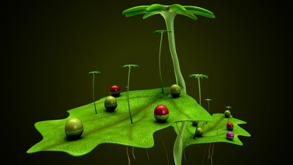 thallus plant anatomy. 3d illustration