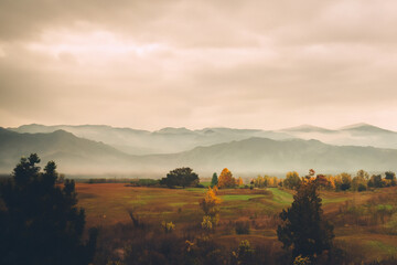 Fototapeta premium Cozy Landscape Background