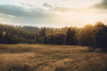 Obraz premium Cozy Landscape Background