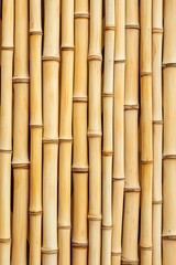 Fototapeta premium Close-up of bamboo sticks arranged vertically, showcasing their natural textures and golden hues.