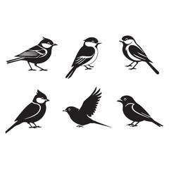Birds Vector art illustration silhouette icon