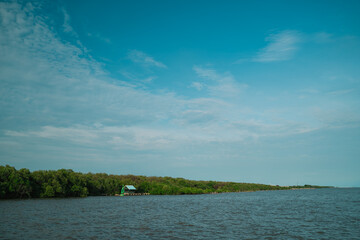 On a summer day, the green mangroves of the island meet the sparkling sea and clear sky, blending nature’s vibrant colors into a breathtaking coastal landscape.