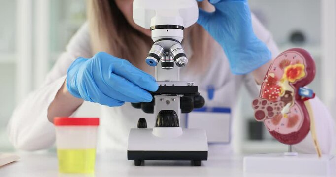 Urine, kidney and urethra tests to check your health in laboratory