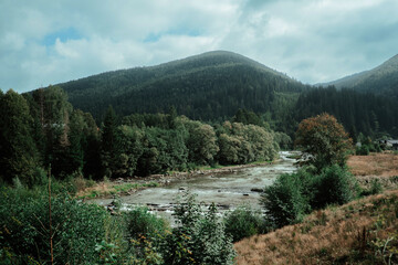 Scenic river winding through lush green forests and mountains in a tranquil natural landscape during daytime
