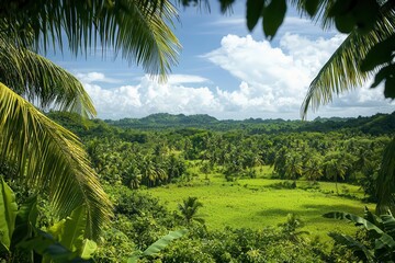 Obraz premium Lush green landscape with vibrant trees and open sky, creating a serene and tranquil tropical atmosphere.