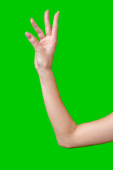 Female Hand Making Gesture Against Green Screen