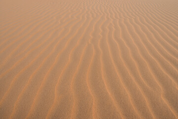 Patterns in the Sand