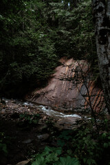 A tranquil river flows past a rocky outcrop surrounded by dense forest in a peaceful wilderness setting